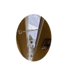 まりも・めかぶすたんぷ！5（個別スタンプ：1）
