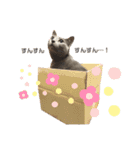 まりも・めかぶすたんぷ！5（個別スタンプ：2）