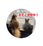 まりも・めかぶすたんぷ！5（個別スタンプ：14）