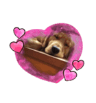 カンナと愛犬（個別スタンプ：2）