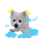 シンバさんroom（個別スタンプ：2）