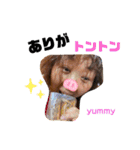 も〜っと！使える美智子スタンプ（個別スタンプ：5）