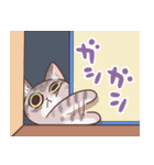 猫のメイちゃんスタンプ（個別スタンプ：28）