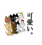 猫ちゃんとシロクマ（個別スタンプ：8）