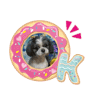 シーズー犬s.s（個別スタンプ：2）