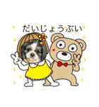 シーズー犬s.s（個別スタンプ：20）