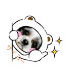 シーズー犬s.s（個別スタンプ：27）