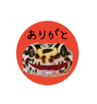 ぺろ、時々、どん（個別スタンプ：1）