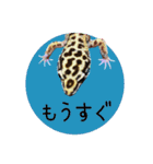 ぺろ、時々、どん（個別スタンプ：13）