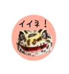ぺろ、時々、どん（個別スタンプ：21）