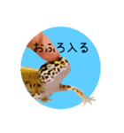 ぺろ、時々、どん（個別スタンプ：24）