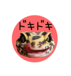 ぺろ、時々、どん（個別スタンプ：26）