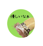 ぺろ、時々、どん（個別スタンプ：27）
