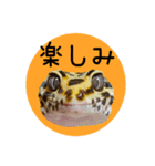 ぺろ、時々、どん（個別スタンプ：28）