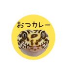ぺろ、時々、どん（個別スタンプ：30）