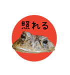 ぺろ、時々、どん（個別スタンプ：31）