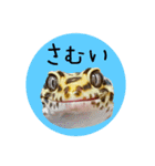 ぺろ、時々、どん（個別スタンプ：36）