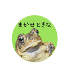 ぺろ、時々、どん（個別スタンプ：38）