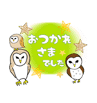 フクロウ達の愉快なスタンプ（個別スタンプ：22）