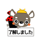 犬好きなあなたへ ちわわ 春編（個別スタンプ：1）