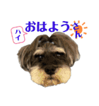 こむぎさんちのなかまたち2（個別スタンプ：2）