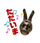 こむぎさんちのなかまたち2（個別スタンプ：8）