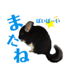 こむぎさんちのなかまたち2（個別スタンプ：10）