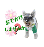 こむぎさんちのなかまたち2（個別スタンプ：12）