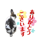 こむぎさんちのなかまたち2（個別スタンプ：14）