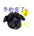 こむぎさんちのなかまたち2（個別スタンプ：31）
