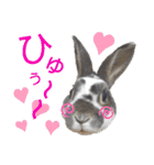 こむぎさんちのなかまたち2（個別スタンプ：36）