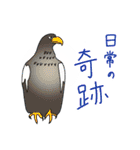 imacocoスタンプ（個別スタンプ：31）