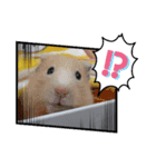 動物たちの面白い日常（個別スタンプ：6）