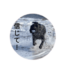 動物たちの面白い日常（個別スタンプ：7）