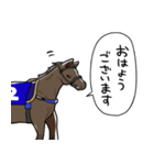 ウマ（息子）（個別スタンプ：34）