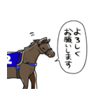 ウマ（息子）（個別スタンプ：40）