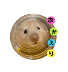 ハムスターマロたん（個別スタンプ：5）
