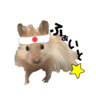 ハムスターマロたん（個別スタンプ：14）