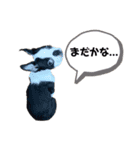 おれロジャー（個別スタンプ：2）