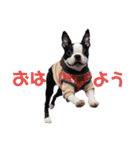 おれロジャー（個別スタンプ：3）