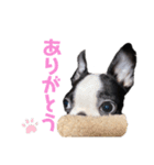 おれロジャー（個別スタンプ：4）