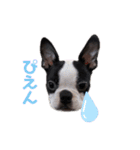 おれロジャー（個別スタンプ：8）