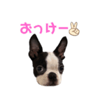 おれロジャー（個別スタンプ：12）