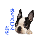 おれロジャー（個別スタンプ：13）