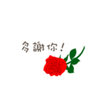 北京語・中国語/『愛してる』赤い薔薇（個別スタンプ：12）