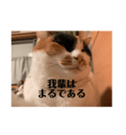 春のまるのスタンプ（個別スタンプ：1）