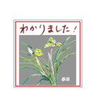 ミチコスタンプ  NO12  春の花 A（個別スタンプ：13）