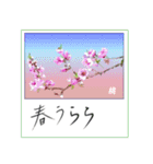 ミチコスタンプ  NO12  春の花 A（個別スタンプ：15）