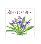 ミチコスタンプ  NO12  春の花 A（個別スタンプ：16）