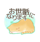 新生活にゃんこ（敬語）（個別スタンプ：5）